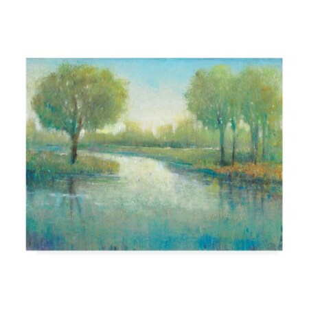 Trademark Fine Art Tim O'Toole 'Winding River Ii' Canvas Art, 14x19 WAG13416-C1419GG